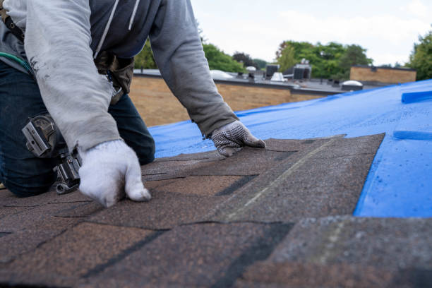 Best Commercial Roofing Services  in Waynesboro, GA