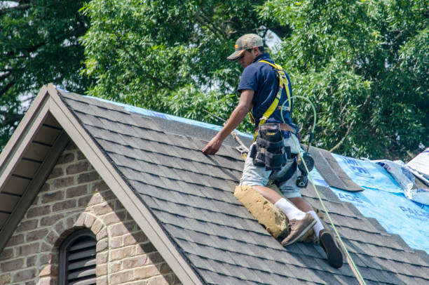 Trusted Waynesboro, GA Roofing Contractor Experts